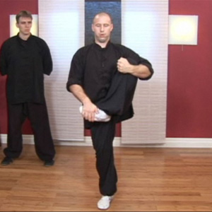 Stances and Techniques